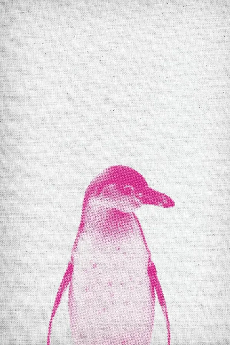 Pinguin 02 pellicola backlit da Froilein Juno