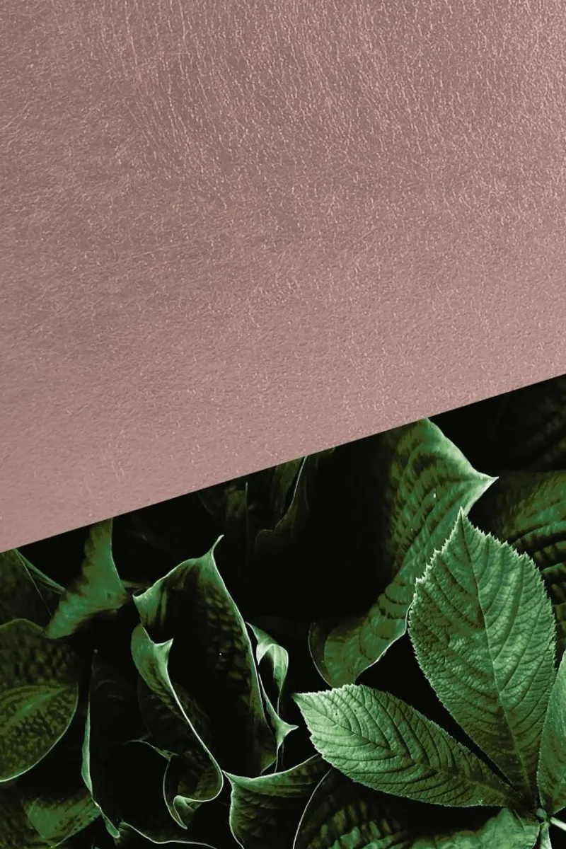 Botanic Rose poster con telaio in plastica da XOXO Arte