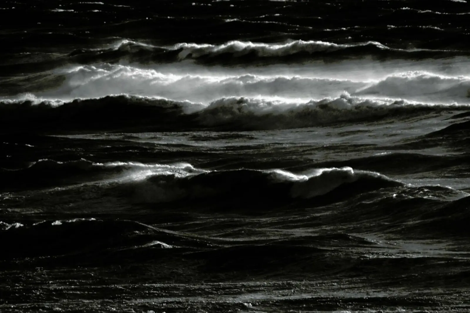 Heart of the Sea pellicola backlit da Tal Paz-Fridman