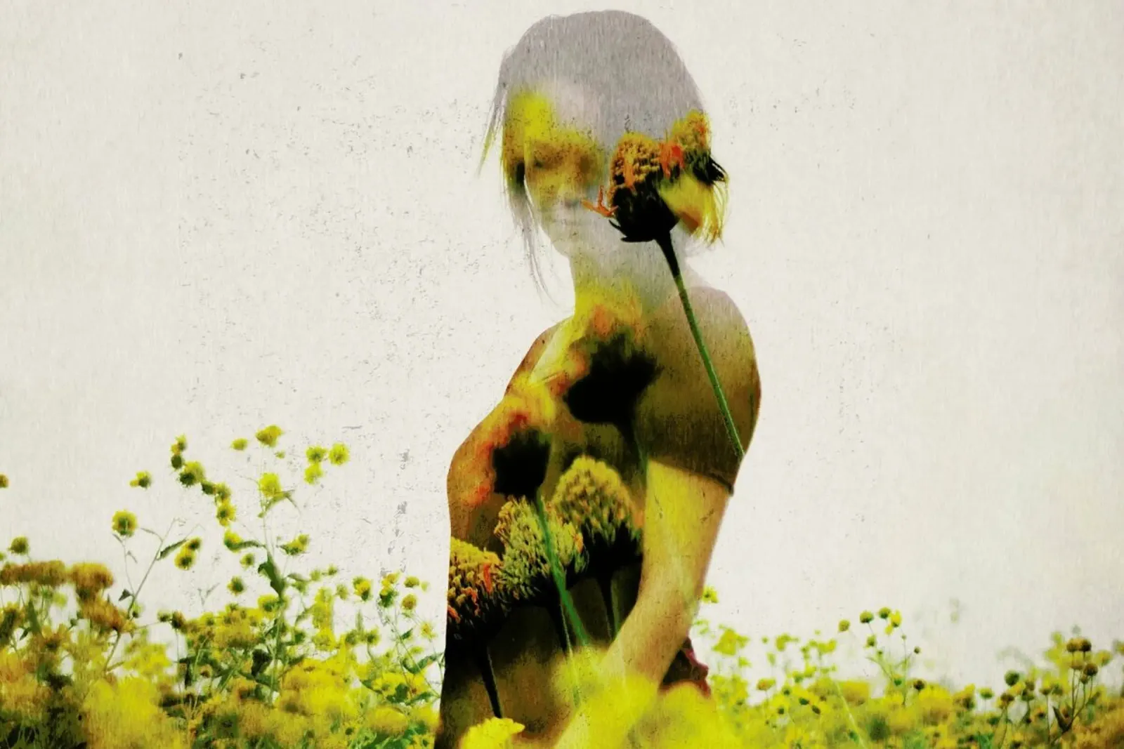 Yellow Meadow poster con telaio in legno da Davies Babies