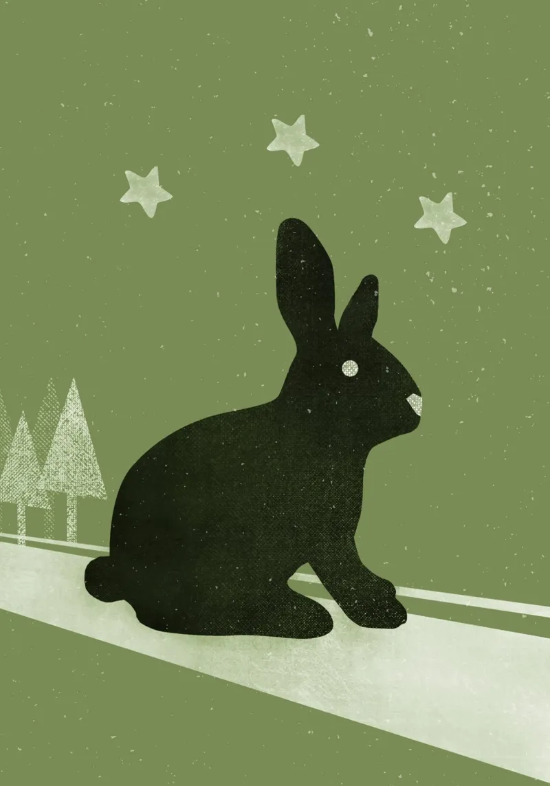 Winter Hase poster con telaio in alluminio da lazydaypaper