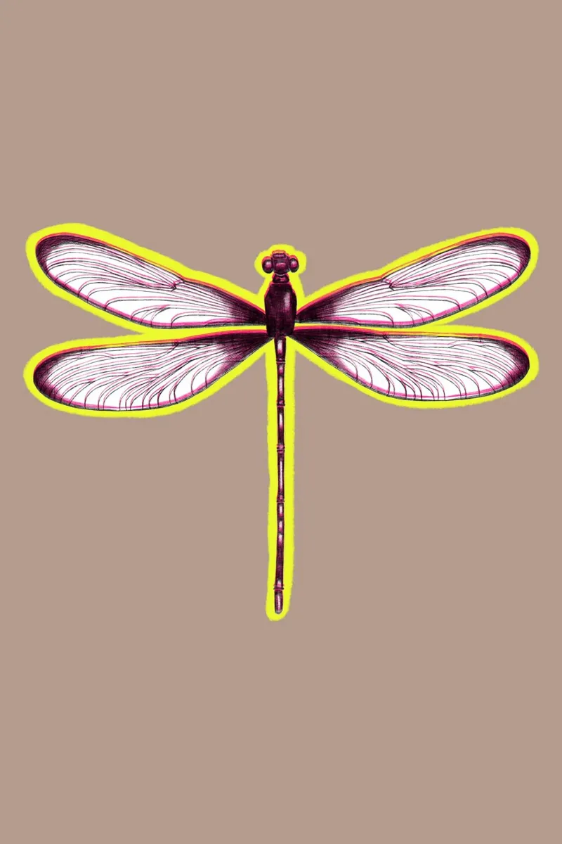 BLURRED DRAGONFLY pellicola backlit da LAUSEMIA DESIGN STUDIO
