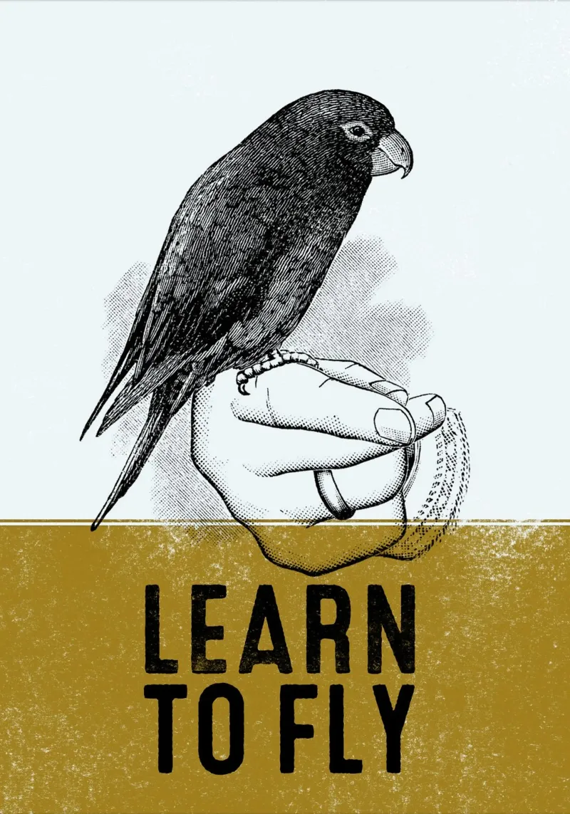 Learn To Fly poster con telaio in alluminio da lazydaypaper