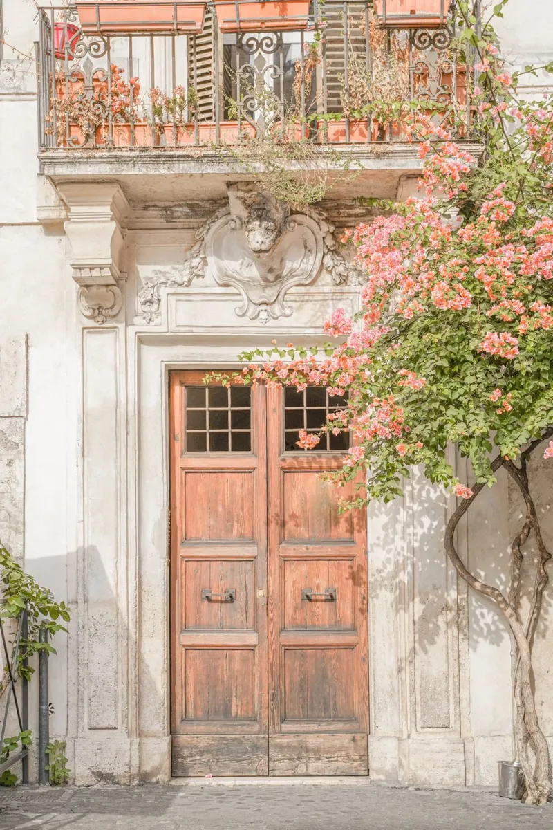 Ingresso floreale a Roma, Italia pellicola backlit da Henrike Schenk Photography
