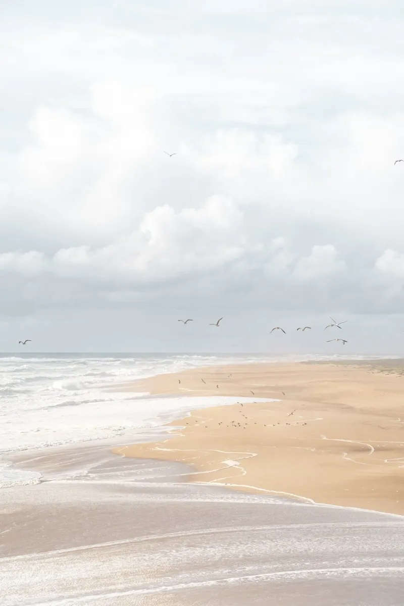 Spiaggia di Nazaré, Portogallo pellicola backlit da Henrike Schenk Photography