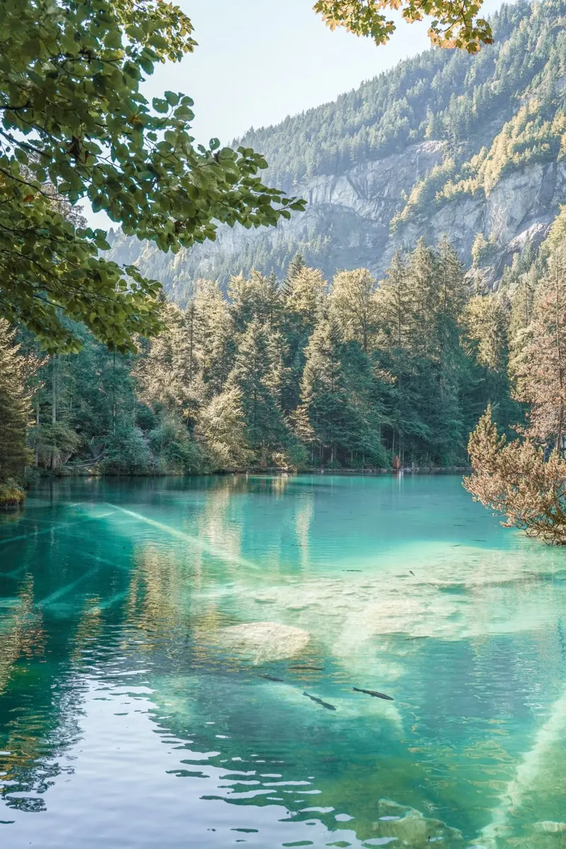 Blausee' in Zwitserland canvas van Henrike Schenk Photography