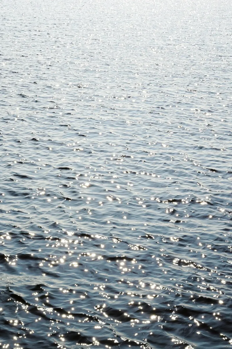Oceano baciato dal sole pellicola backlit da Henrike Schenk Photography