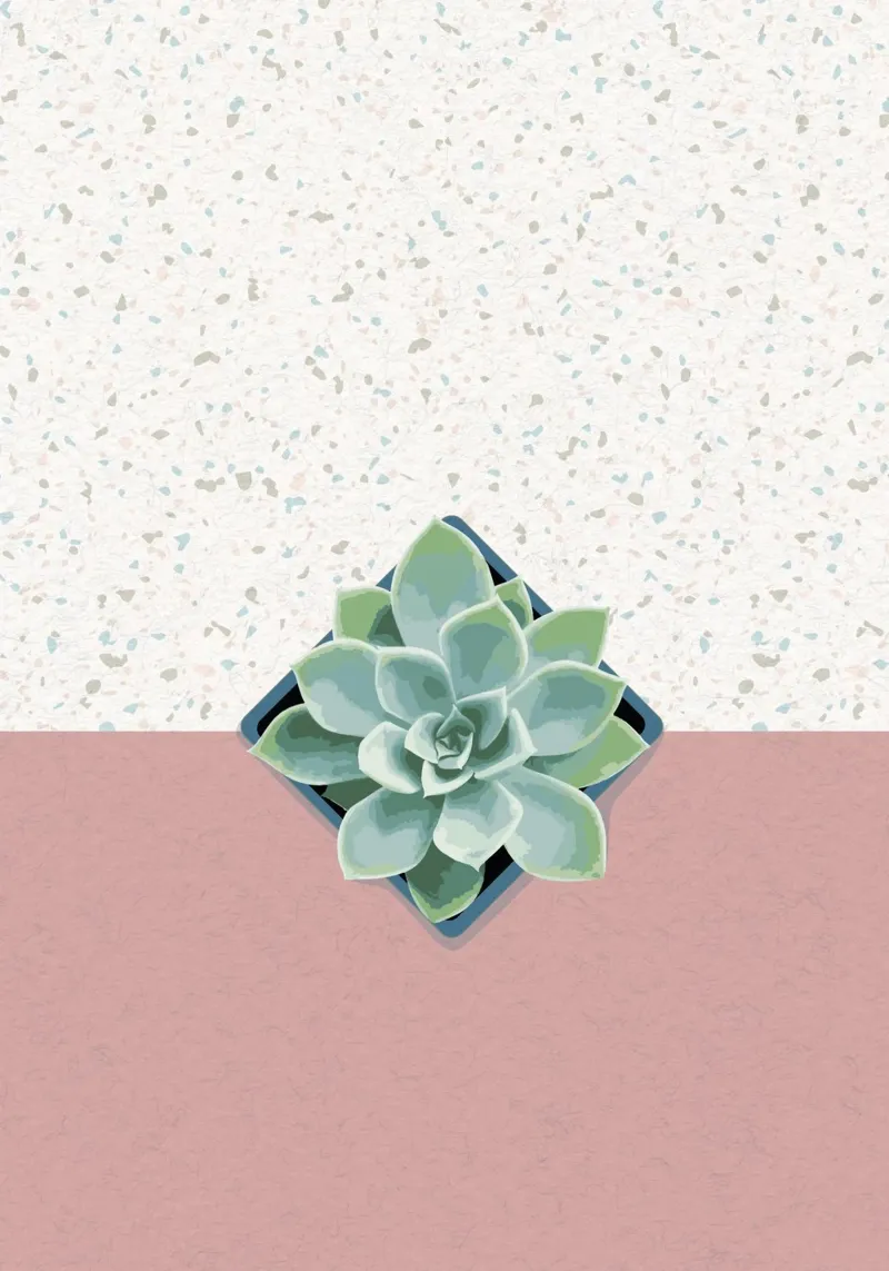 Sukkulente Nr. 01 tela con Cornice a cassetta da lazydaypaper