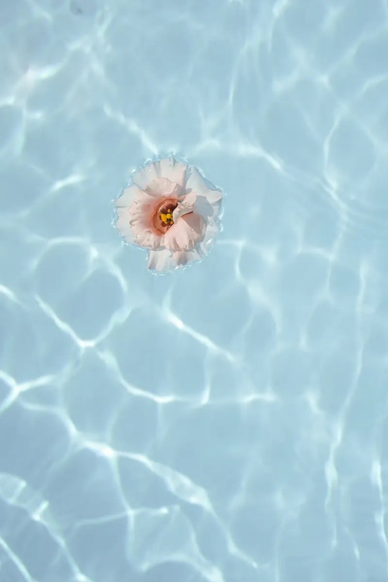 Floating Flower canvas with Floater frame by Henrike Schenk Photography