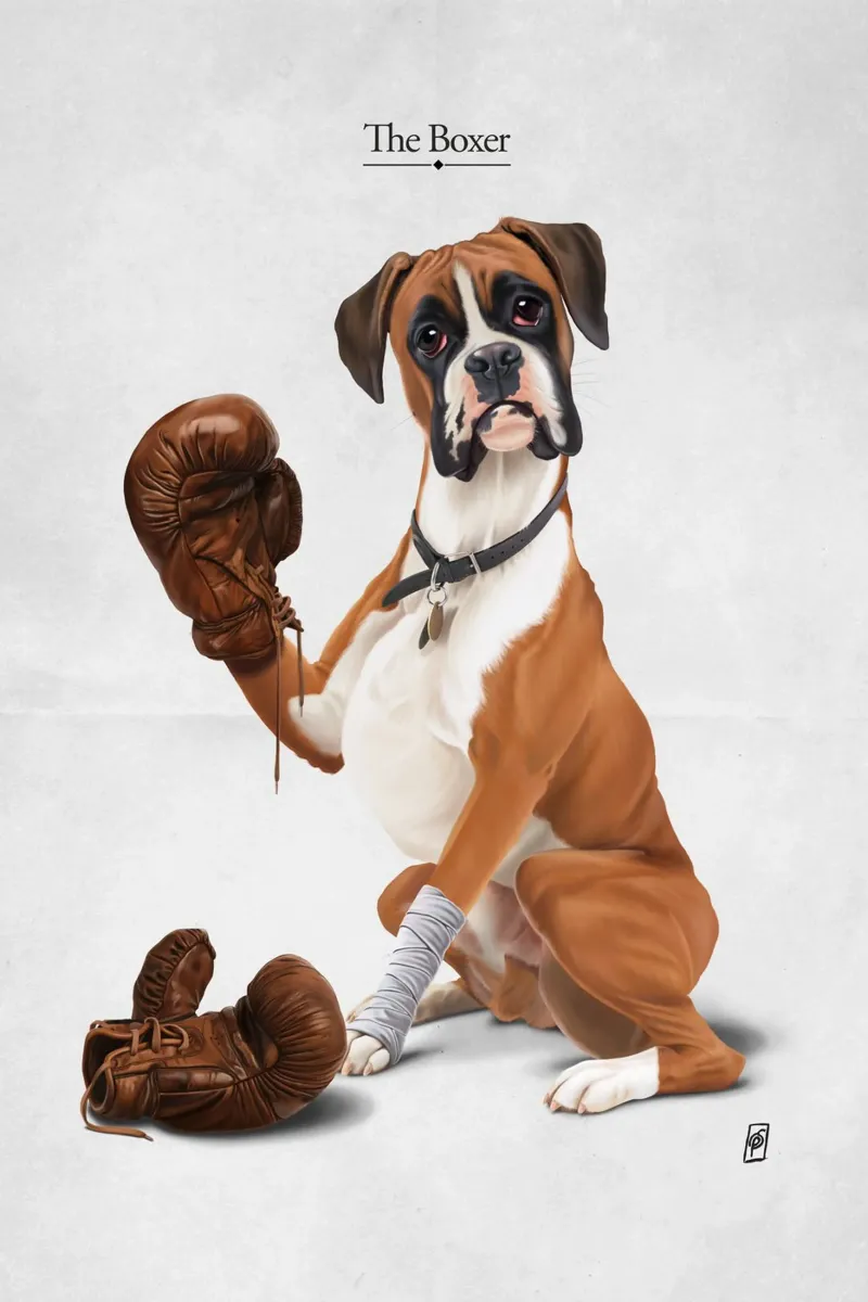 The Boxer (Titled) pellicola backlit da Rob Art | Illustration