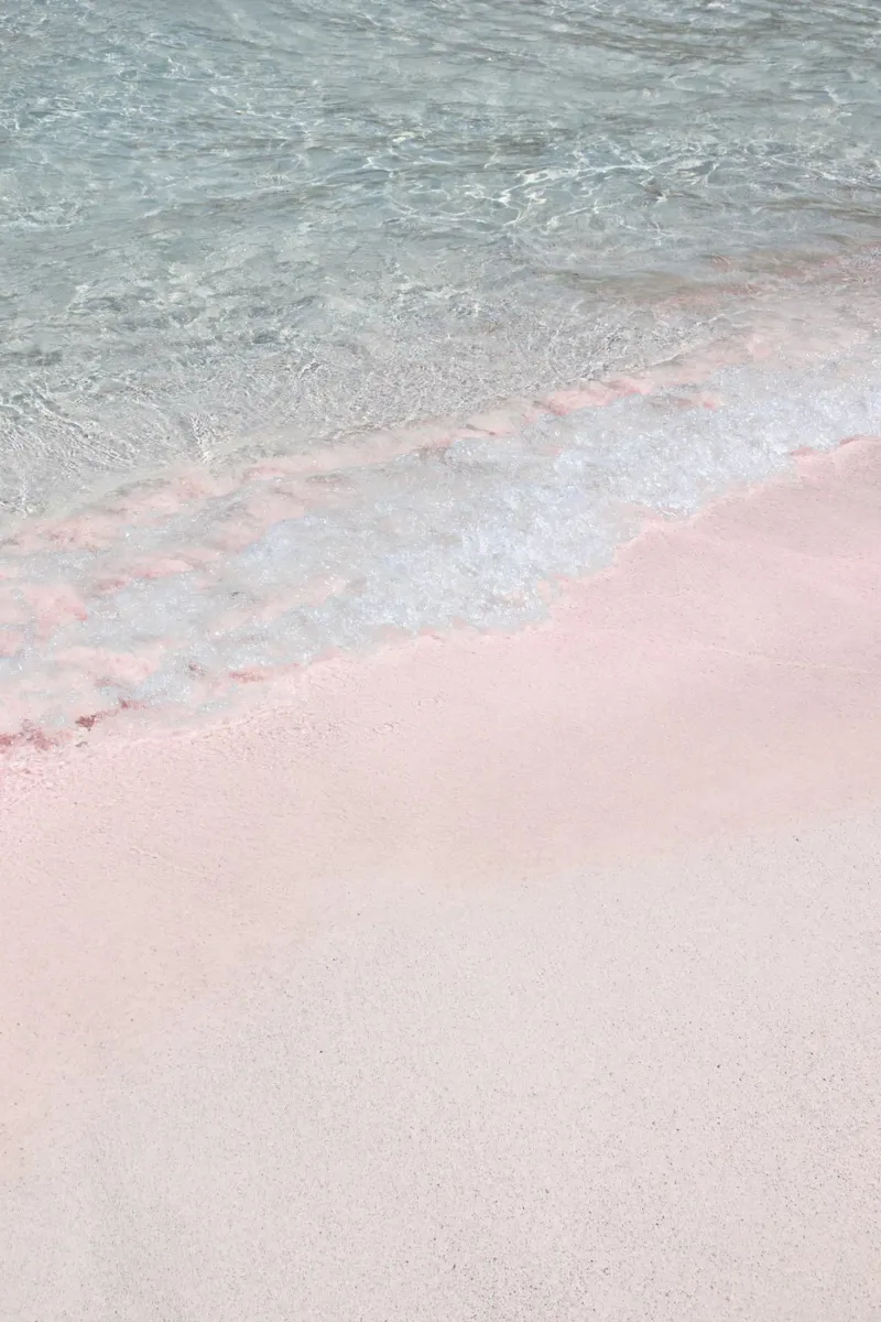 Spiaggia Rosa pellicola backlit da Henrike Schenk Photography