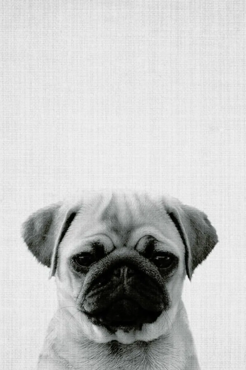 Print 44 plexiglass da Lila x Lola