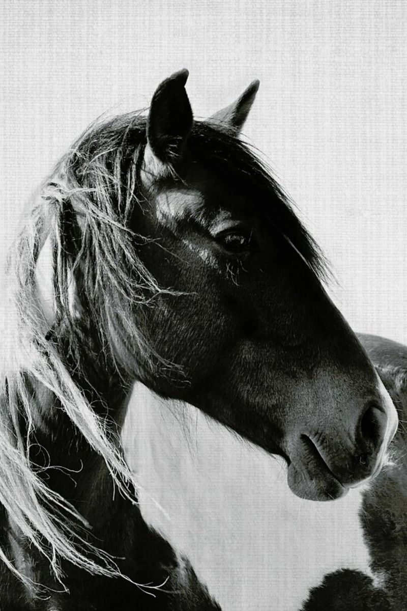 Print 181 poster by Lila x Lola