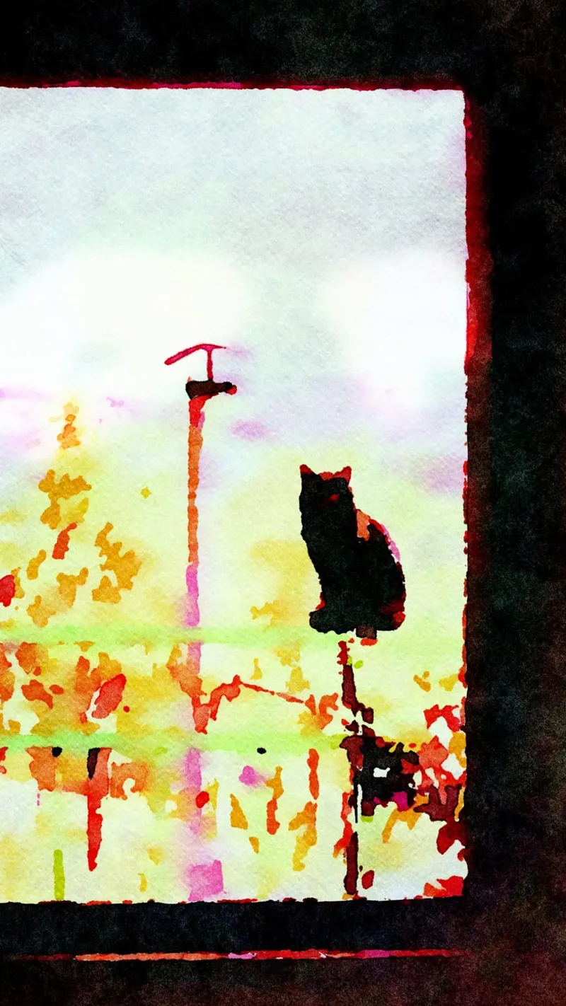 Black cat from the window in watercolor canvas by Massimo Frascogna