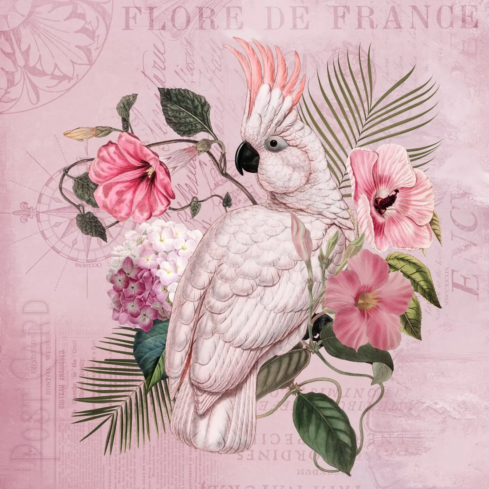 Nostalgia del cacatua floreale pellicola backlit da Andrea Haase Vintage World