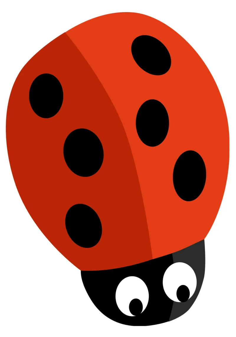 Coccinella pellicola backlit da C.WILL