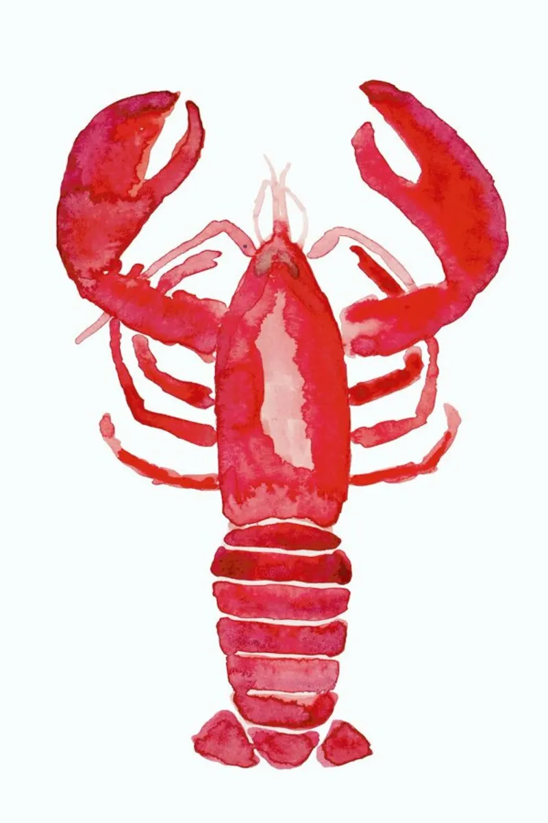 Lobster pellicola backlit da Farina Kuklinski