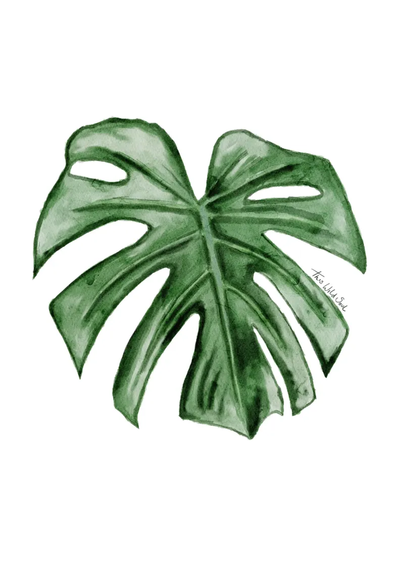 Monstera Formaggio Pianta Fogliame Illustrazione ad acquerello poster con telaio in plastica da This Wild Soul - Illustration