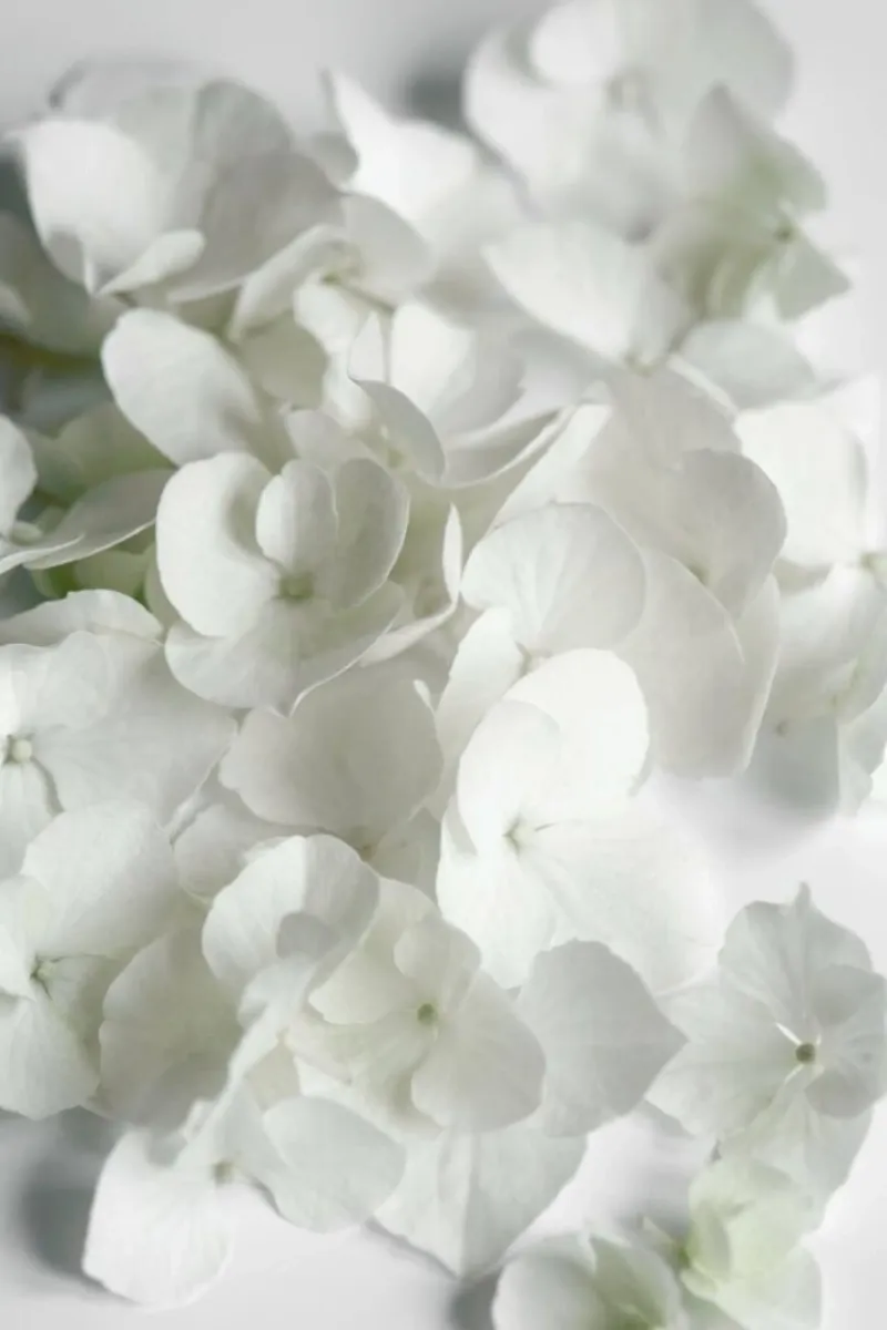 White Beauty acrylic glass by Studio Nahili