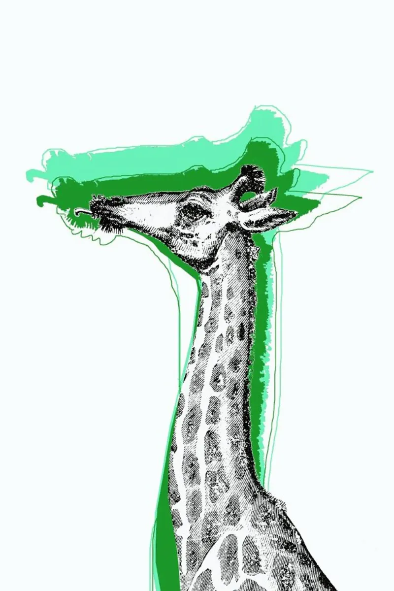 Cool Giraffe pellicola backlit da Rococco LA