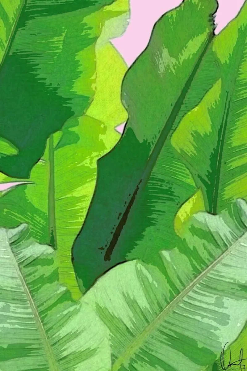 Banana Tropics carta hahnemühle da Xchange Art Studio
