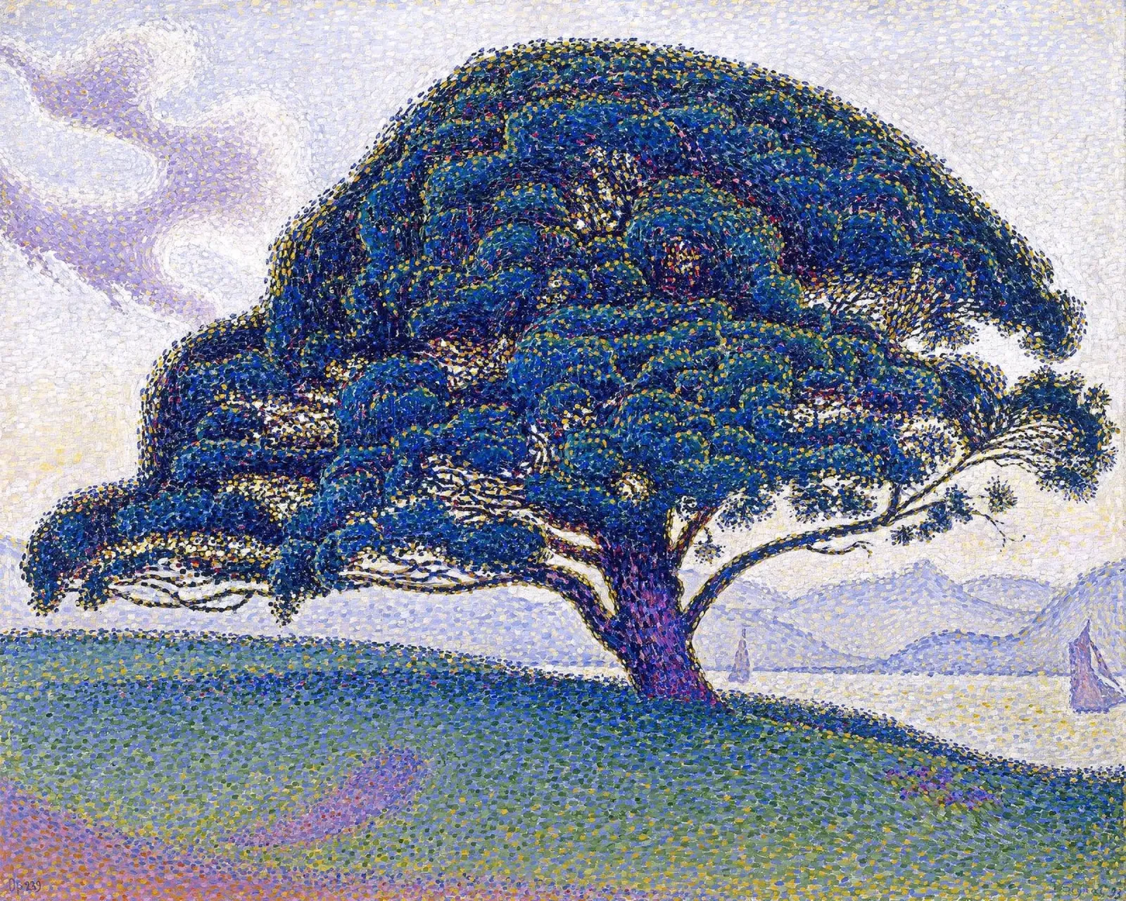 The Bonaventure Pine poster con telaio in plastica da apoloprints