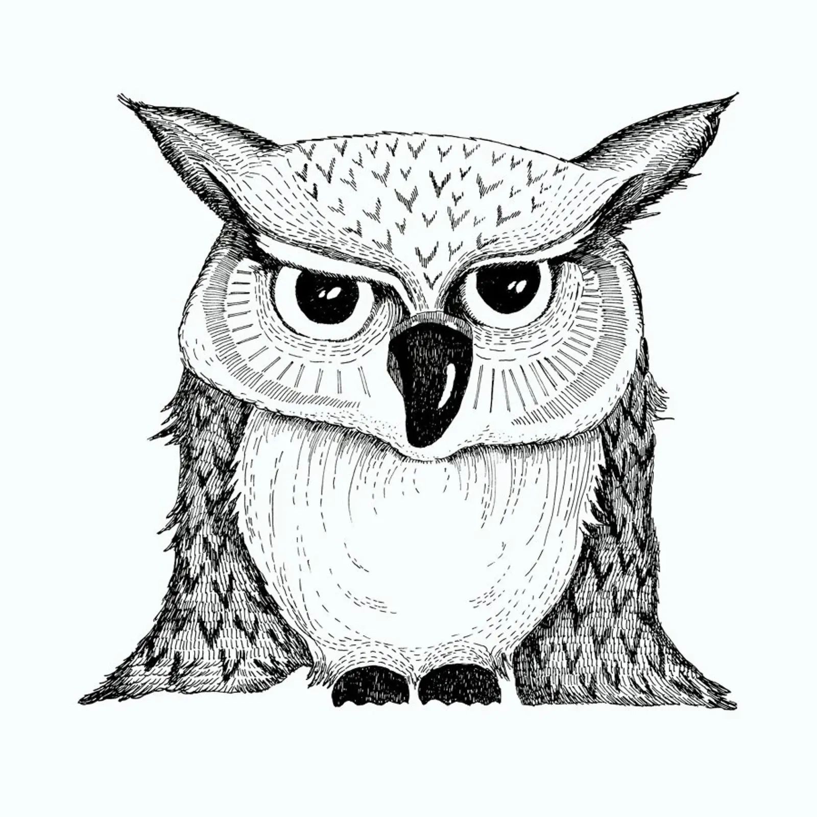 Owl pellicola backlit da Sabrina Ziegenhorn