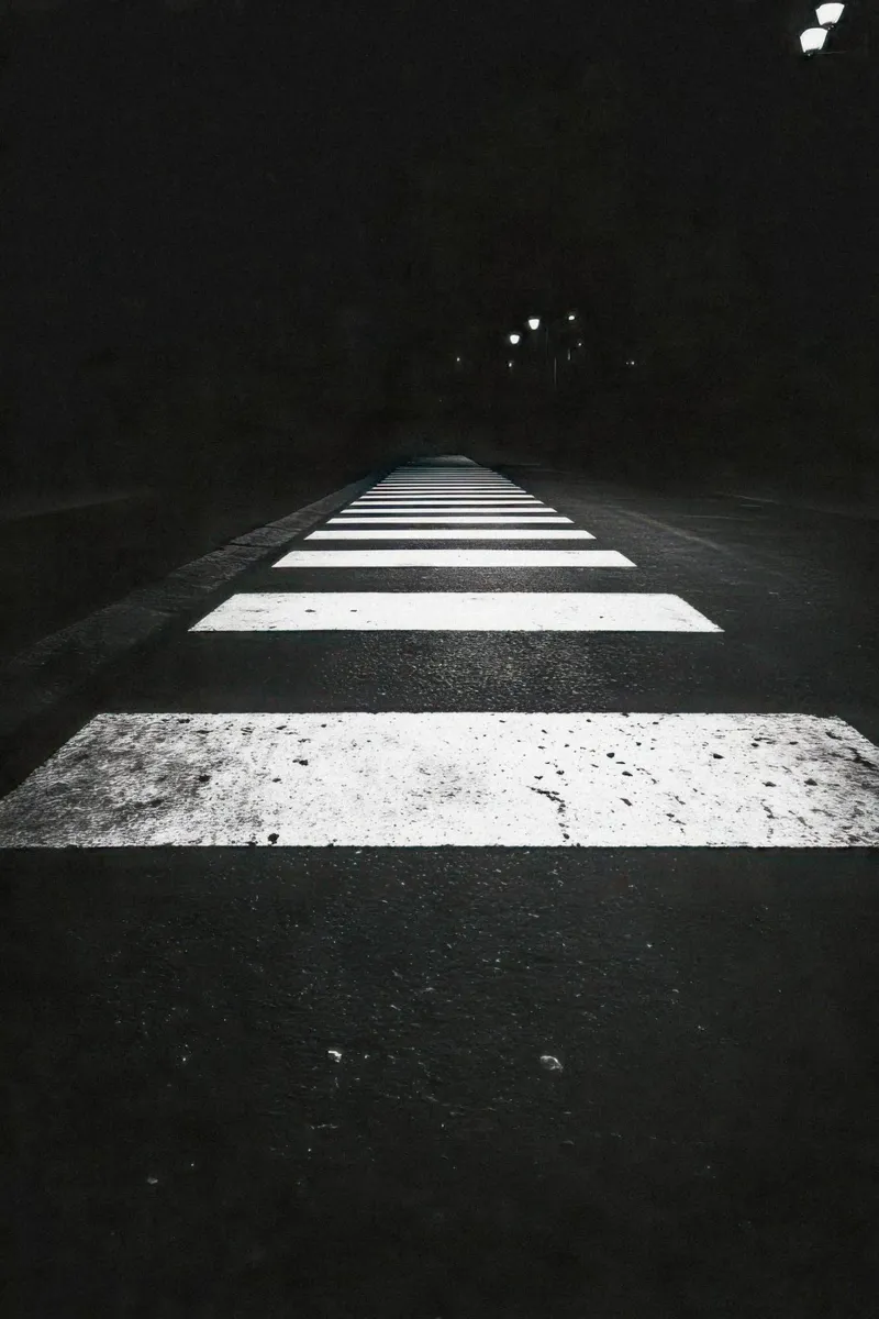 Palermo - Urban Zebra: Passage to the Unknown canvas by By Night