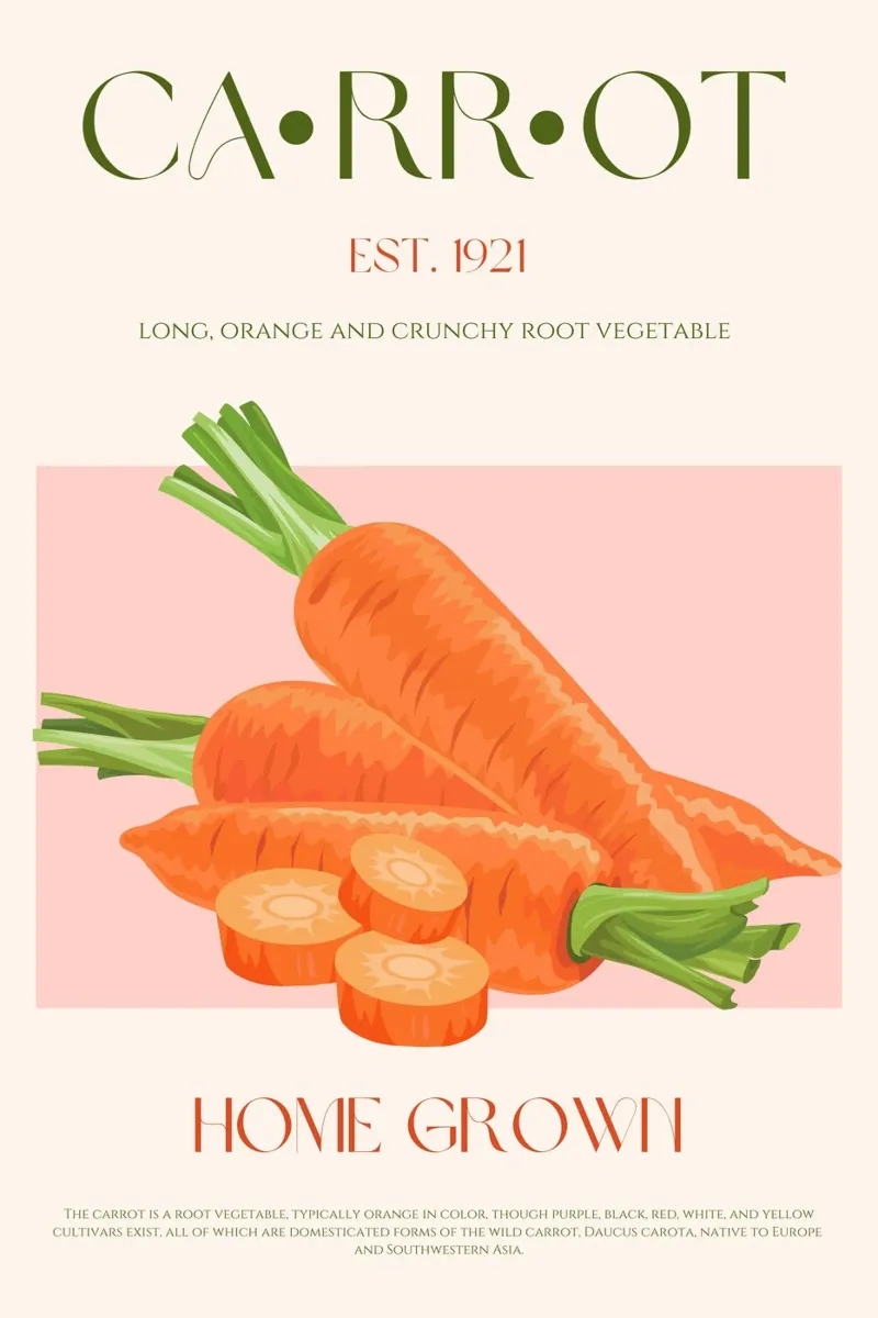 Carrot Print hahnemühle by KOKRPrints