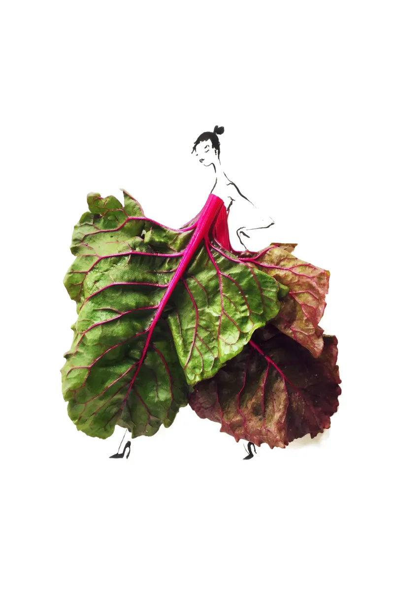 Chard On pellicola backlit da Gretchen Roehrs