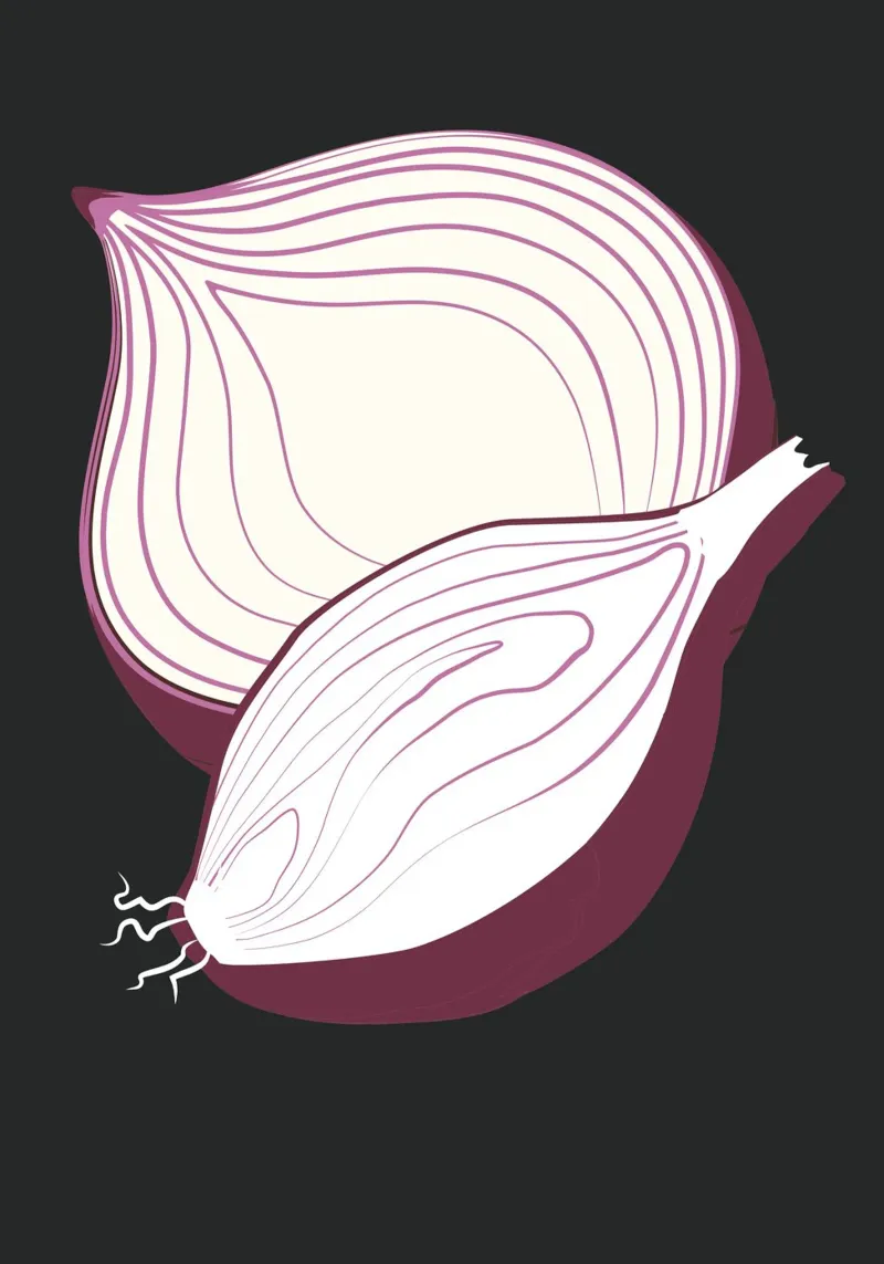Purple onion pellicola backlit da LisaArtes