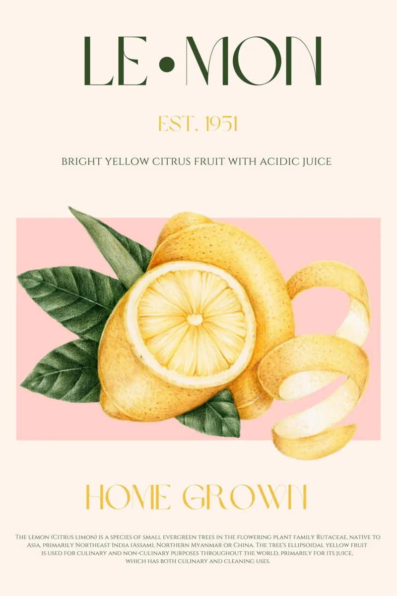 Stampa di frutta al limone poster con telaio in plastica da KOKRPrints
