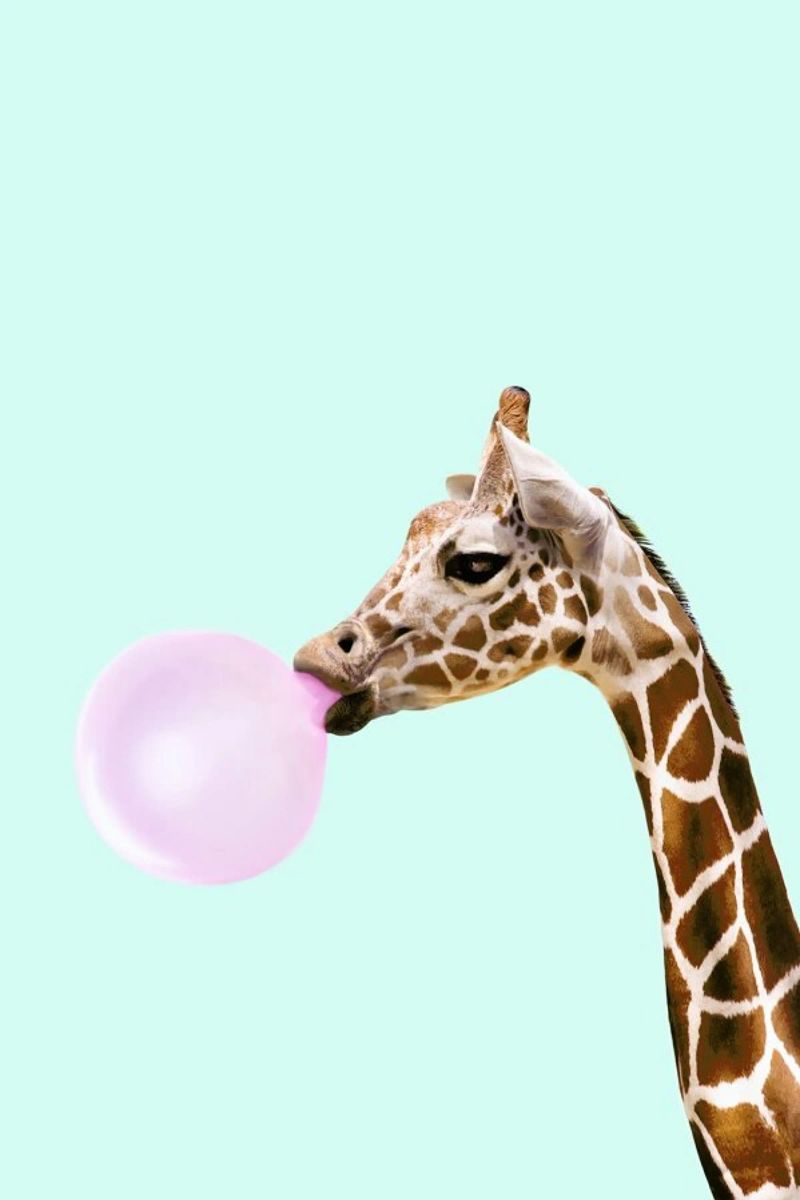 Giraffe Poster von Paul Fuentes Design