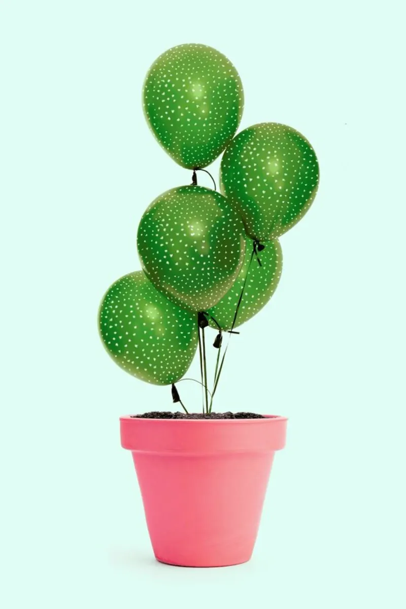 Cactus Balloon pellicola backlit da Paul Fuentes Design