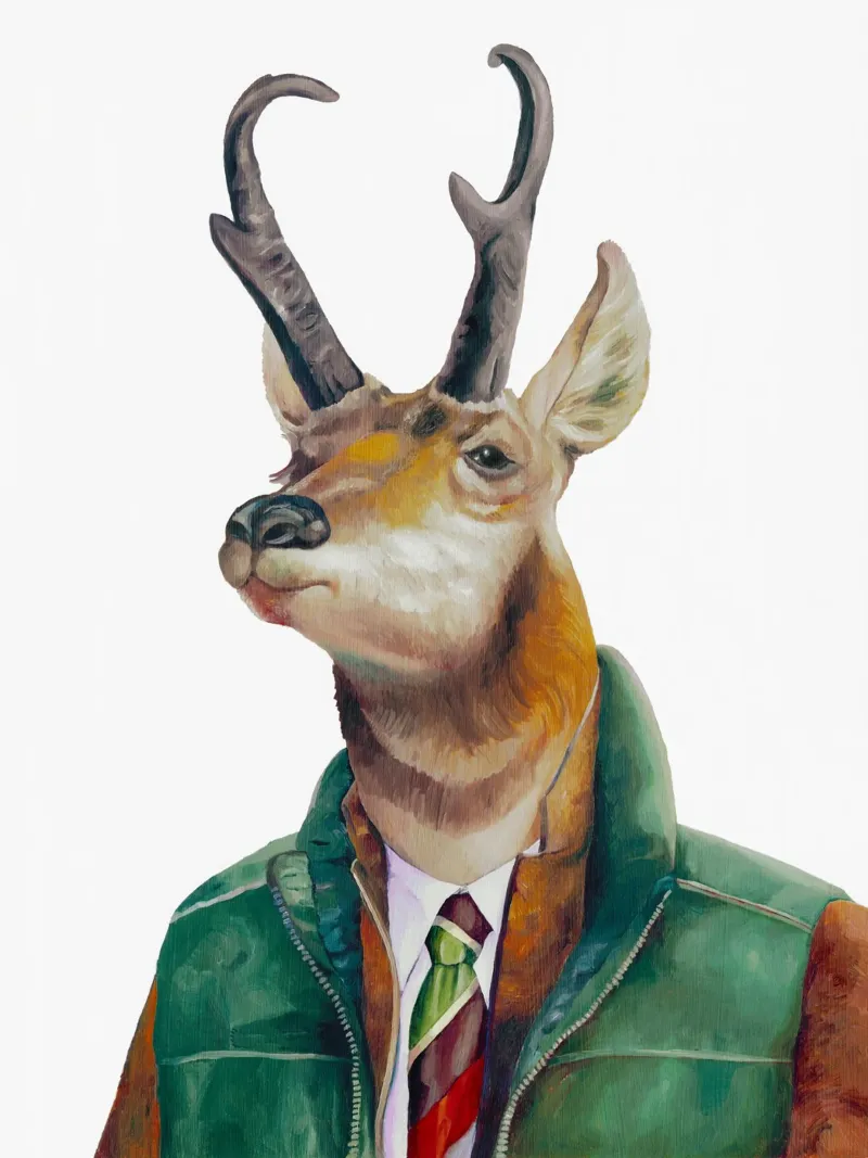 Cervo Pronghorn plexiglass da Animal Crew