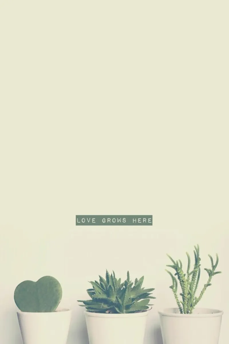 Love Grows Here poster con telaio in plastica da Ingrid Beddoes