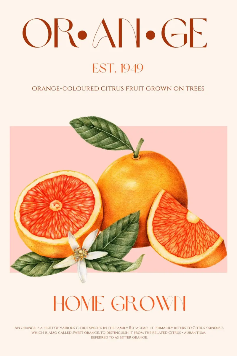 Stampa di frutta arancione poster con telaio in alluminio da KOKRPrints