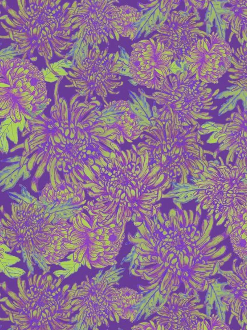 Fiore di crisantemo Modello poster con telaio in alluminio da Illustration Raissa Oltmanns