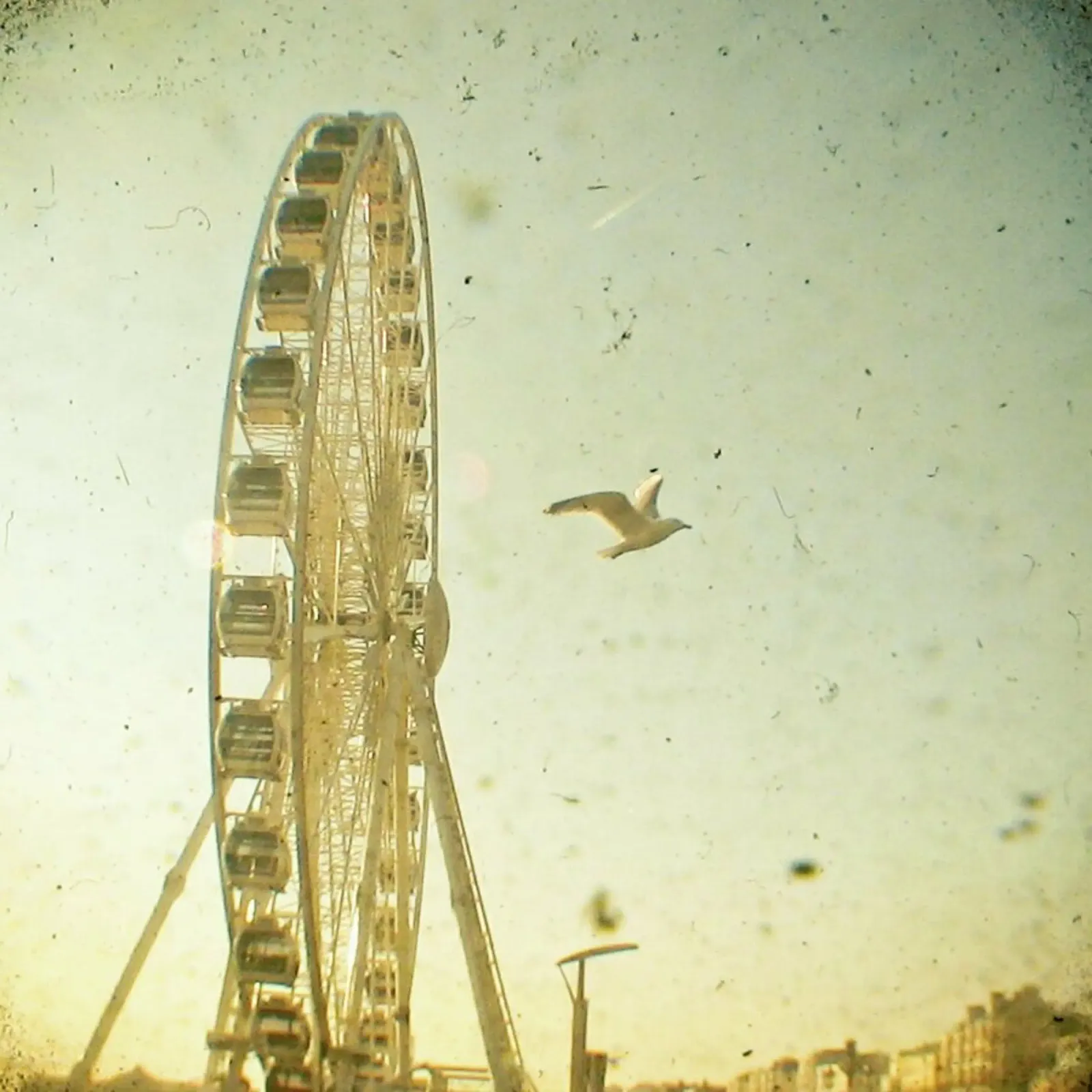 Vue d'oiseau poster de Cassia Beck Photography