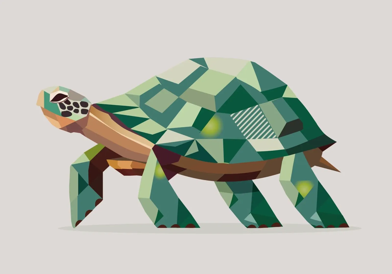 Geometric turtle - Unique polygon design canvas by namosh