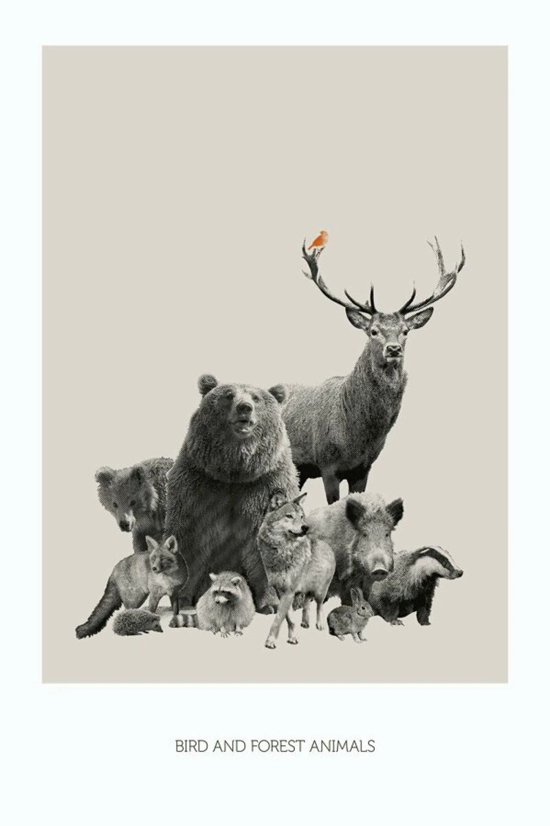 Bird And Forest Animals Poster von Sarah Bühler