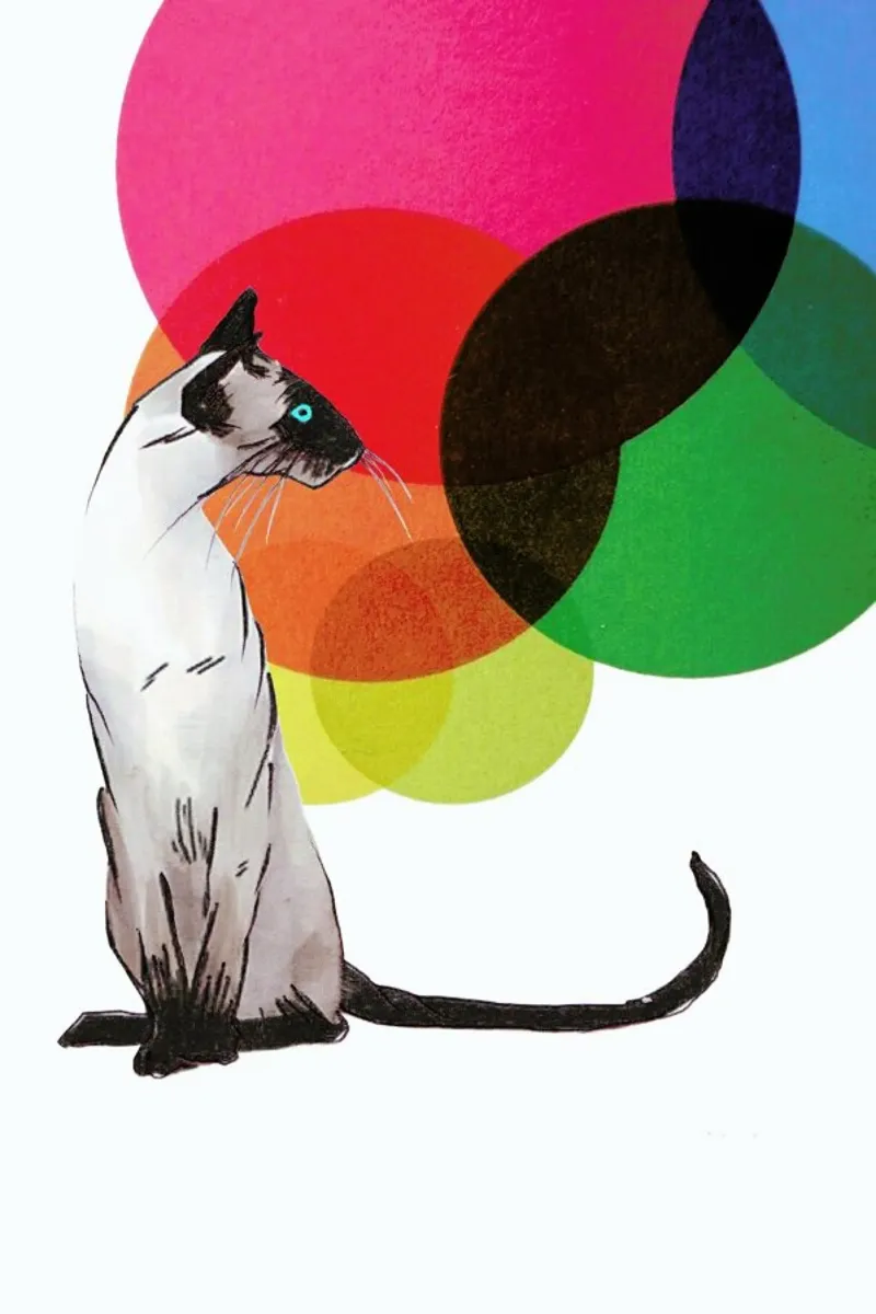 Siamese Cat with colorful balls carta hahnemühle da Rococco LA