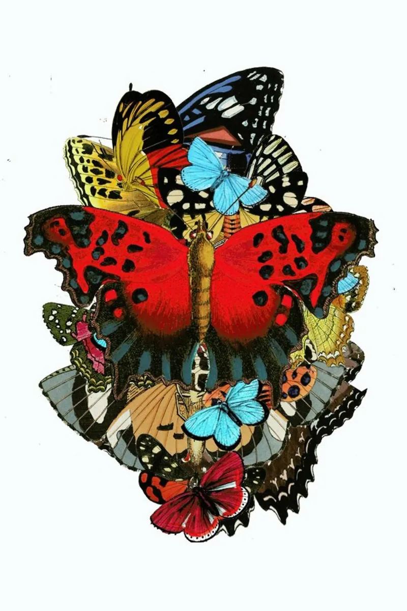 The colors of nature 1 plexiglass da Rococco LA
