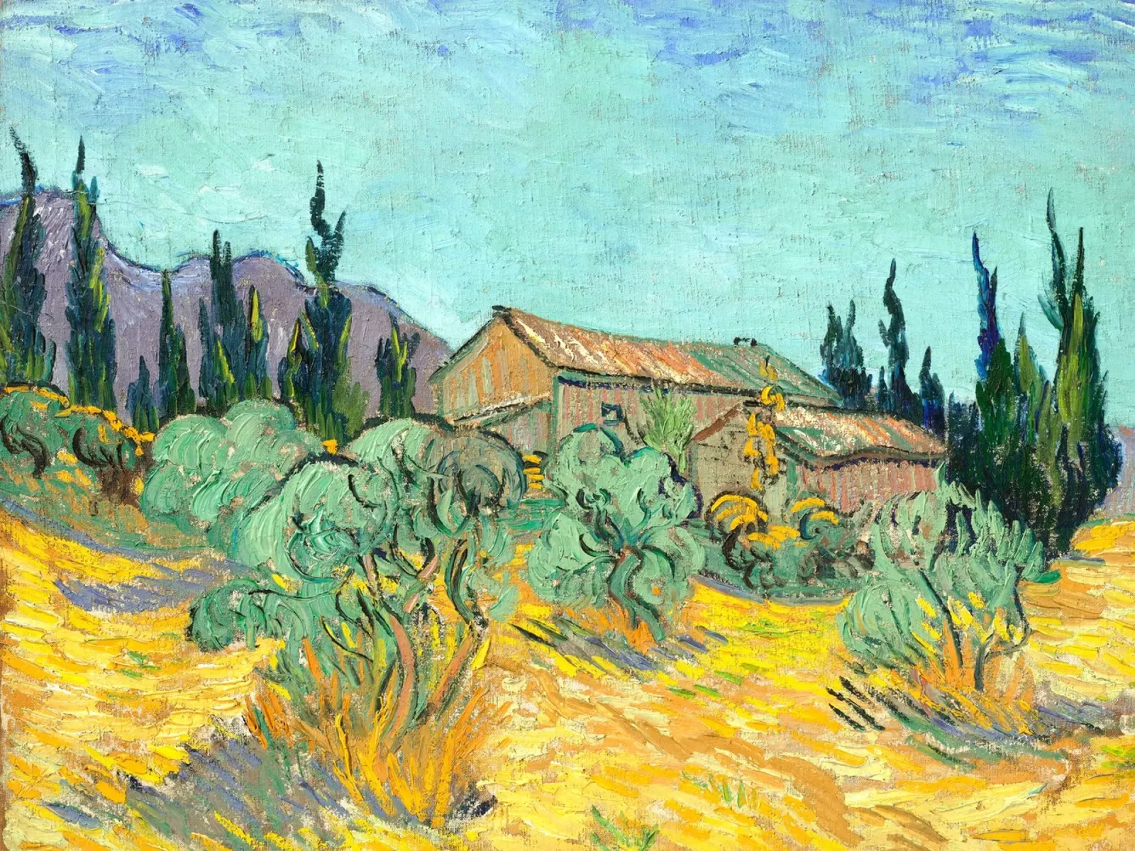 Van Gogh - Huts surrounded by olive trees and cypresses carta hahnemühle da apoloprints