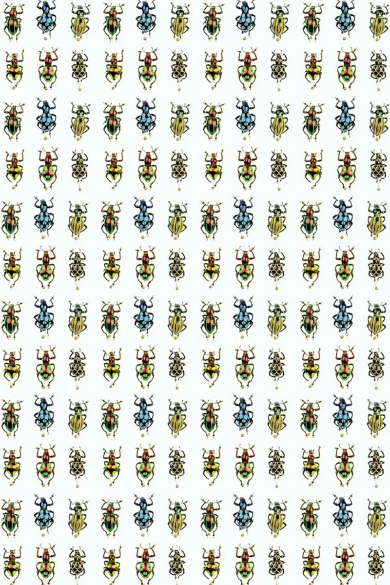 Tiny Beetles pellicola backlit da Curious Collections by Marielle Leenders