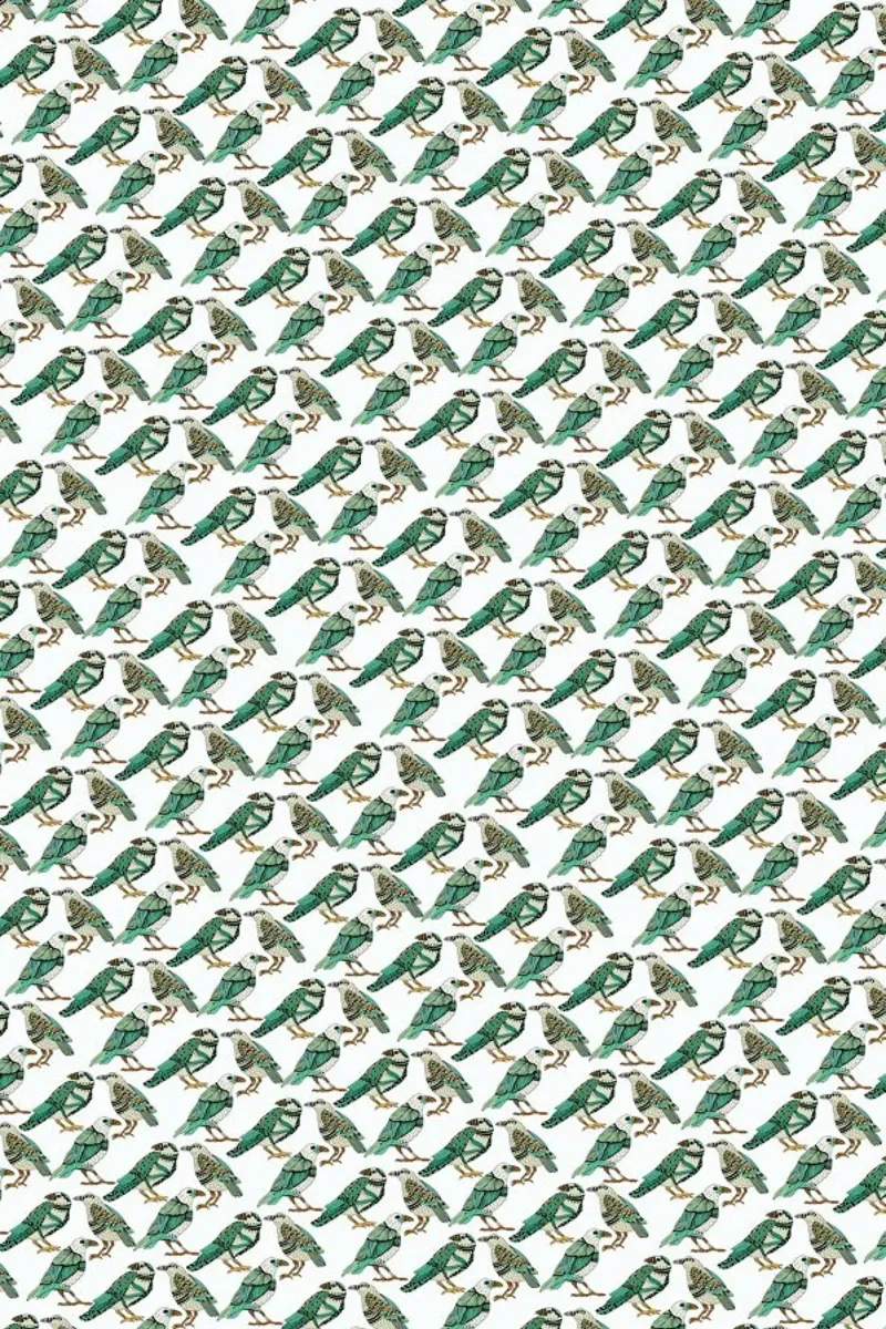 Retro Birds pellicola backlit da Pom Graphic Design