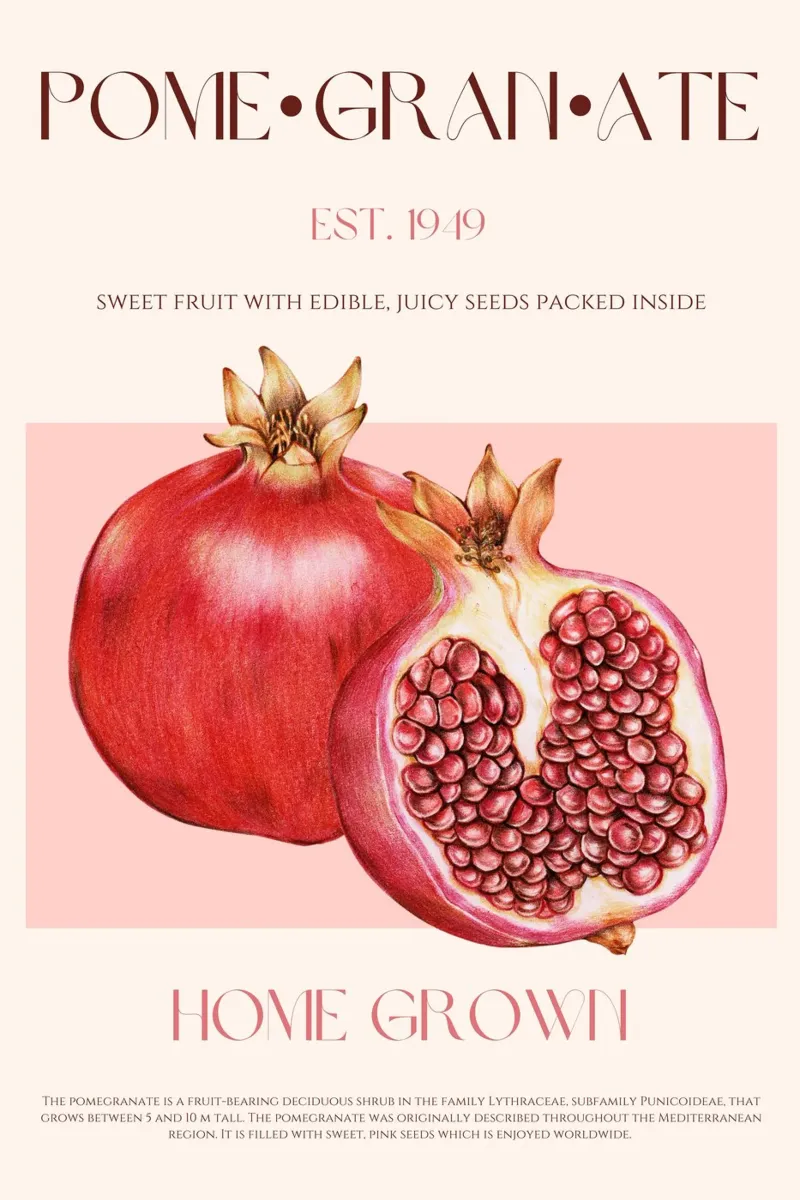 Stampa del frutto del melograno alluminio dibond da KOKRPrints