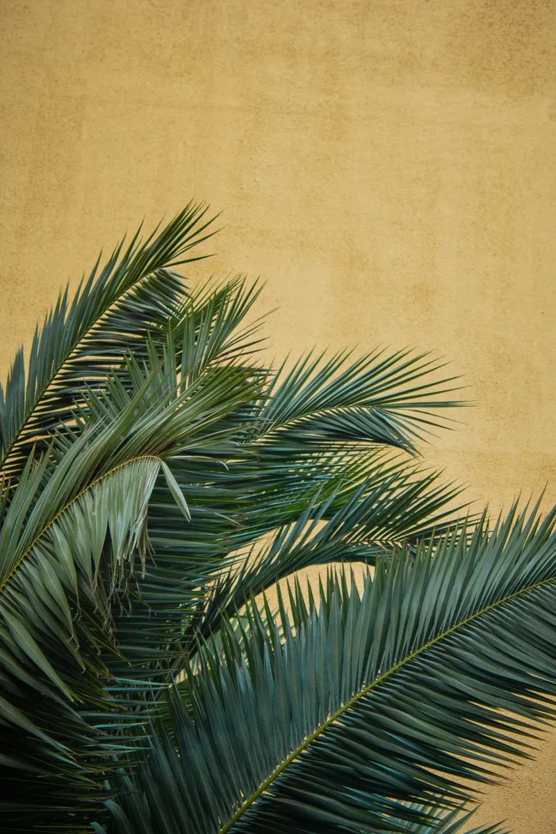 Golden Palm Leaves hahnemühle by Victoria Frost