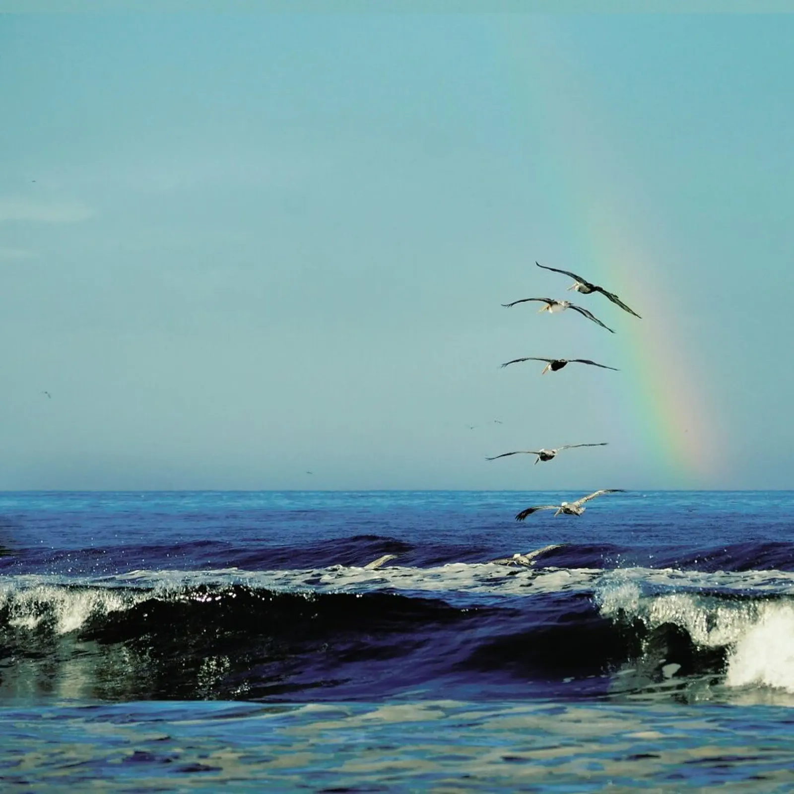 I'll Follow plexiglass da Robin Delean