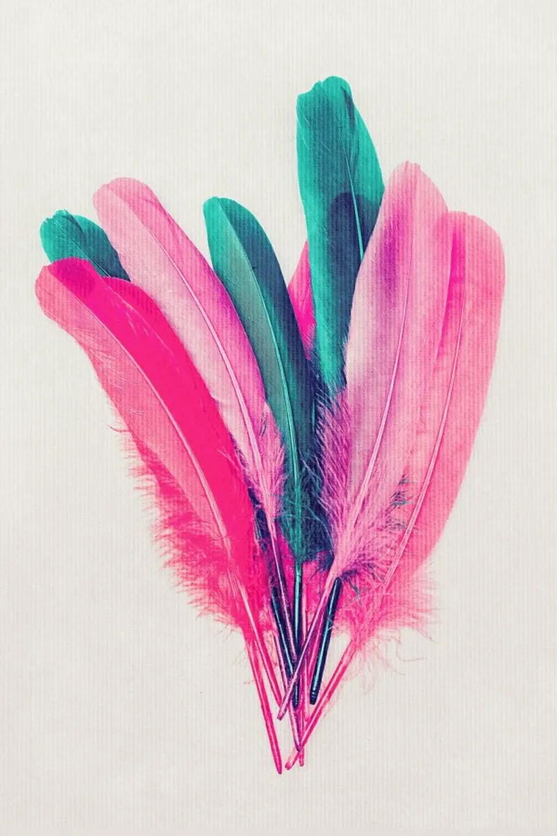 Feather Bouquet pellicola backlit da Kubistika